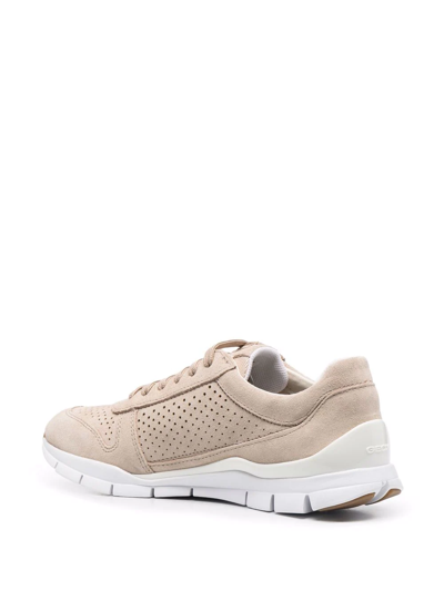 Geox Sukie Low-top Sneakers In Neutrals