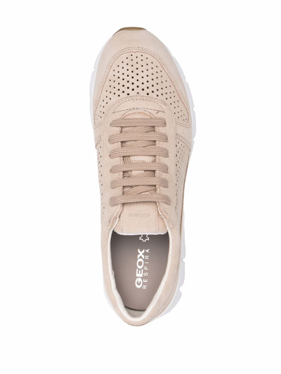 Geox Sukie Low-top Sneakers In Neutrals