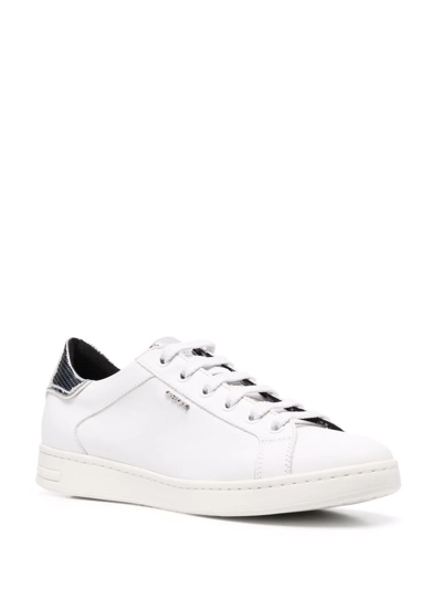 Geox Pontoise Low-top Sneakers In White
