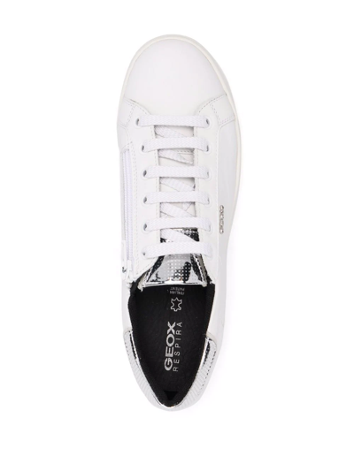 Geox Pontoise Low-top Sneakers In White