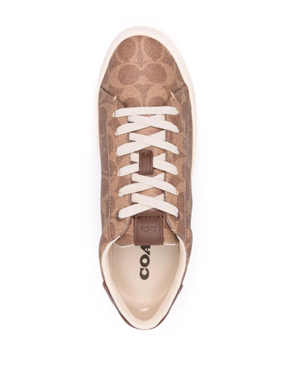 Coach High Line Sneaker In Signature Canvas In Brown