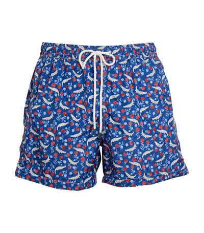Shop Fedeli Printed Swim Shorts In Multi
