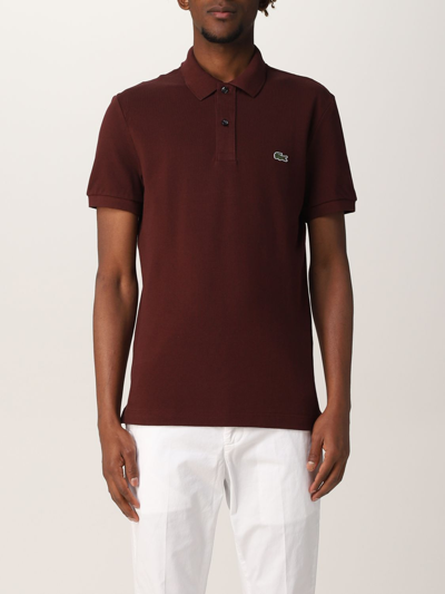 Shop Lacoste Basic Polo Shirt With Logo In Red Purple