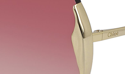 Shop Chloé Curtis 59mm Butterfly Shield Sunglasses In Gold/gradient Pink