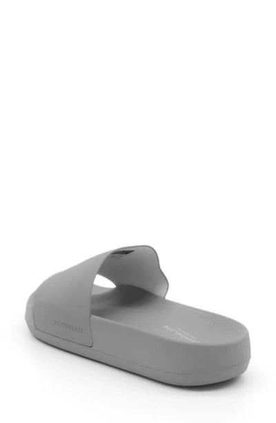 Shop Brandblack Kashiba Slide Sandal In Grey