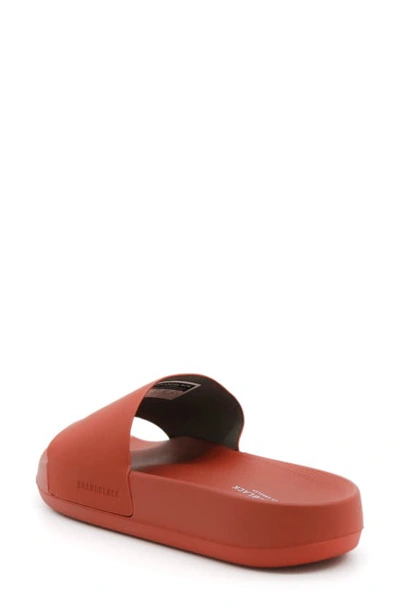Shop Brandblack Kashiba Slide Sandal In Mango