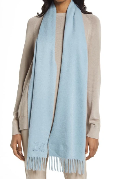 Max Mara Cashmere Scarf In 030 Light Blue
