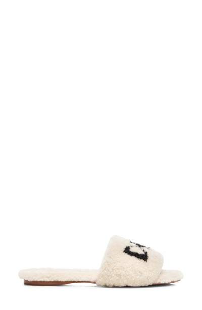 Shop Aquazzura So Dream Genuine Shearling Slide Sandal In Cream/black