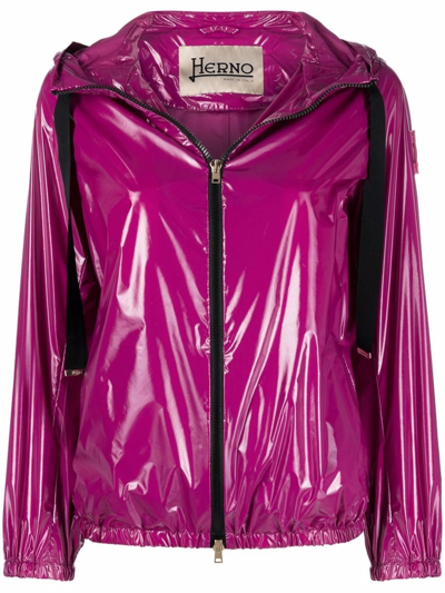 Shop Herno `gloss` Jacket In Rosa