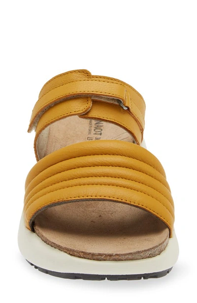 Shop Naot Vesta Sandal In Marigold Leather