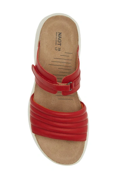 Shop Naot Vesta Sandal In Kiss Red Leather