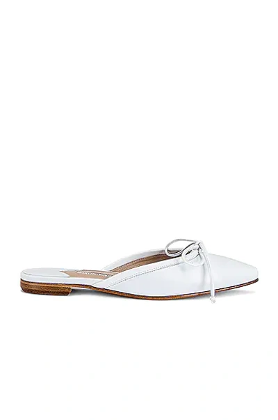 Shop Manolo Blahnik Ballerimu 10 Slide In White