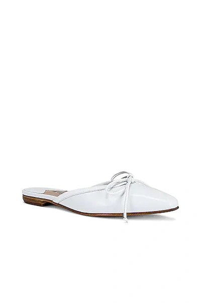 Manolo Blahnik Ballerimu Square Toe Mule In White