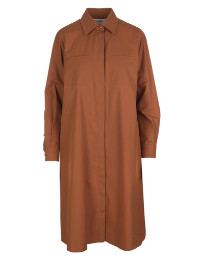 Shop Max Mara Pleat Detailed Shirt Dress In Brown