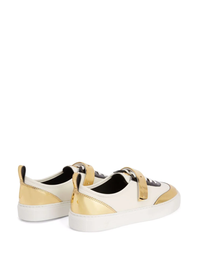 Shop Giuseppe Zanotti Zenas Low-top Sneakers In White