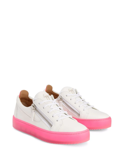 Shop Giuseppe Zanotti Gail Low-top Sneakers In White