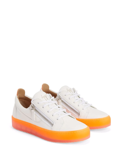 Giuseppe Zanotti Gail Contrast-sole Sneakers In White