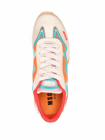Shop Msgm Panel-detail Sneakers In Neutrals