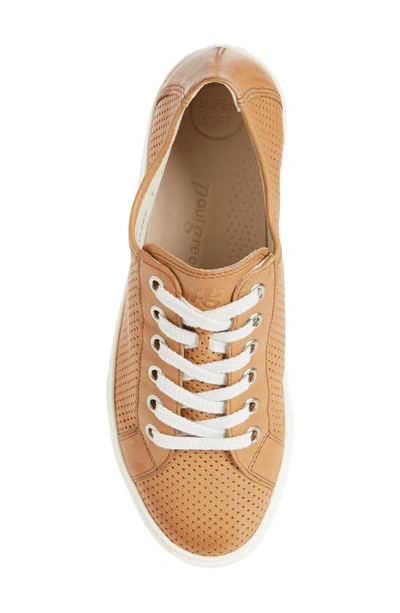 Paul Green Levi Perforated Low Top Sneaker In Cuoio Washed Leather |  ModeSens