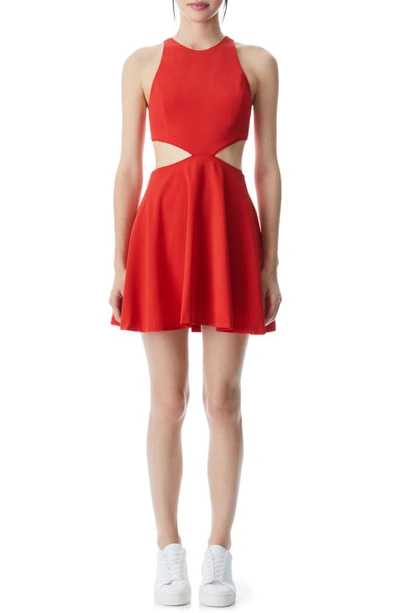 Shop Alice And Olivia Carla Cutout Detail Fit & Flare Dress In Bright Poppy