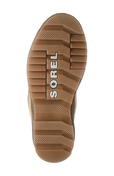 Shop Sorel Tivoli Iv Waterproof Tall Winter Boot In Curry