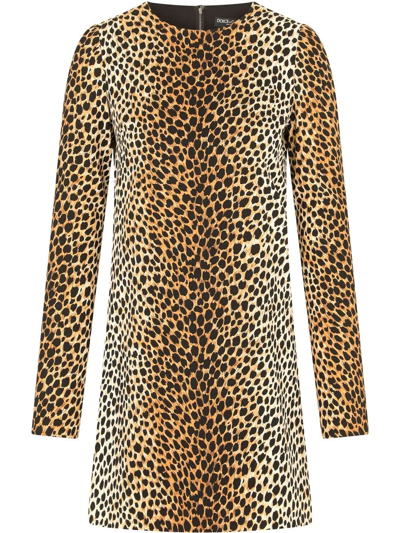 Shop Dolce & Gabbana Leopard Print Dress In Gold