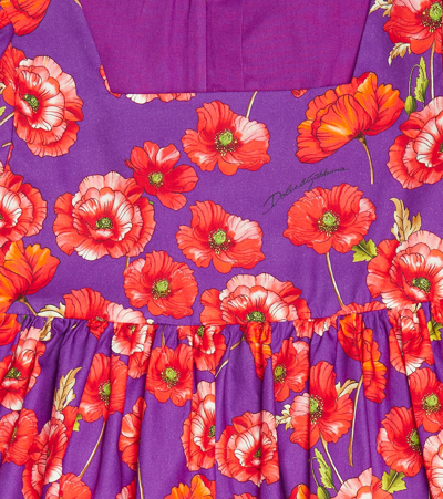 Shop Dolce & Gabbana Floral Cotton Dress In Papaveri Fdo Viola