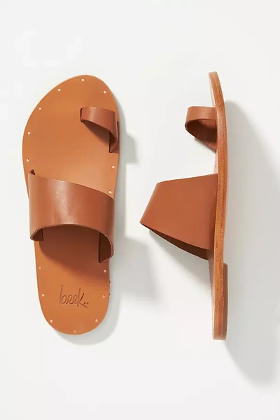 Shop Beek Finch Toe-loop Sandals In Brown