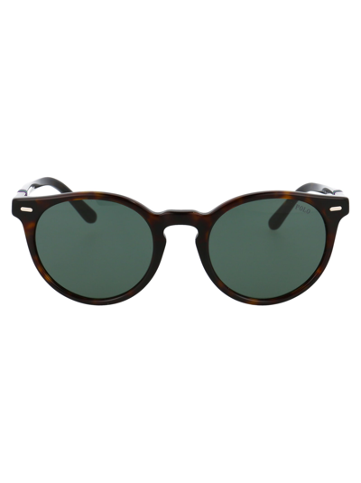 Shop Polo Ralph Lauren 0ph4151 Sunglasses In 567371 Shiny Dark Havana