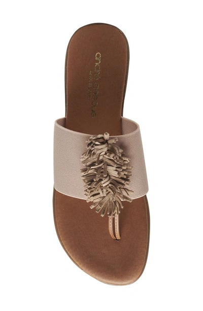 Shop Andre Assous Novalee Featherweights™ Sandal In Ecru