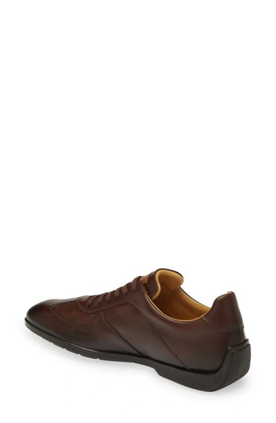 Shop Mezlan City Leather Sneaker In Brown