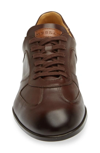 Shop Mezlan City Leather Sneaker In Brown