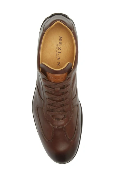 Shop Mezlan City Leather Sneaker In Brown