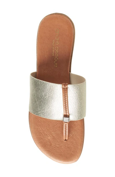 Shop Andre Assous Nice Featherweights™ Slide Sandal In Platino