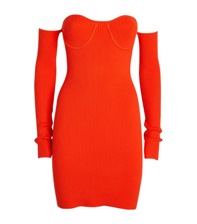 Shop Helmut Lang Ribbed Contour Mini Dress In Red