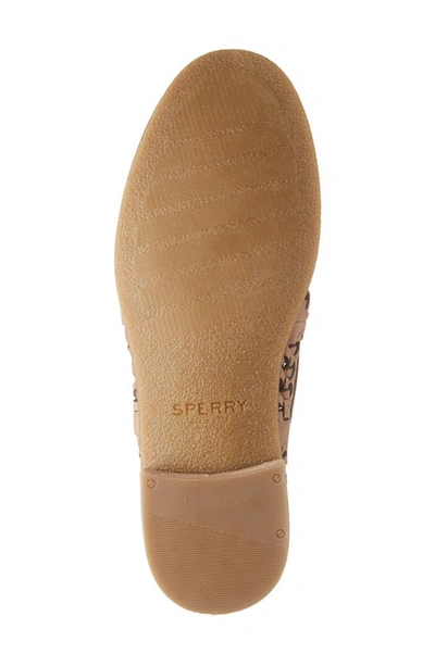 Shop Sperry Seaport Penny Loafer In Tan Leather