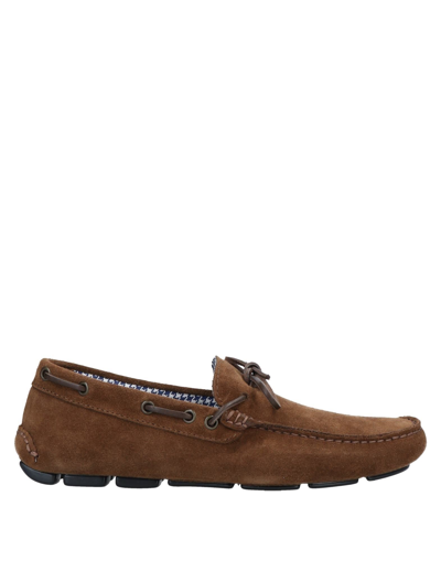 Shop Primo Emporio Loafers In Dark Brown