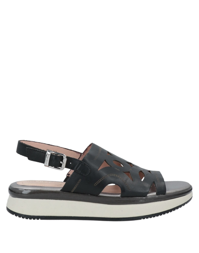 Shop Stonefly Woman Sandals Black Size 6.5 Soft Leather