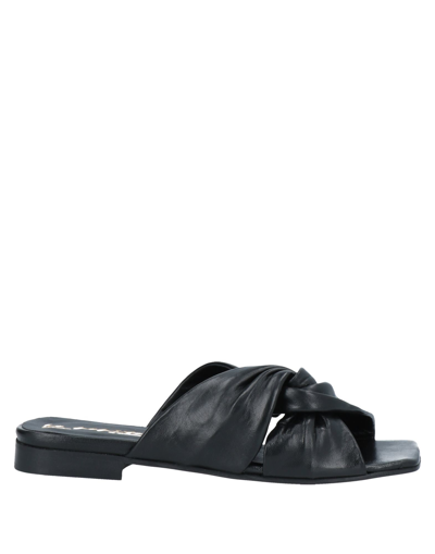 Shop Le Pepite Woman Sandals Black Size 6 Soft Leather