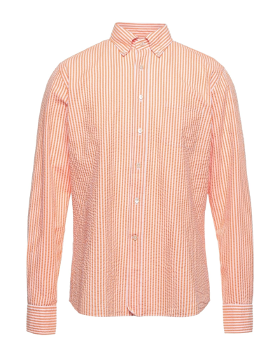 Shop Alessandro Gherardi Man Shirt Orange Size 15 ½ Cotton