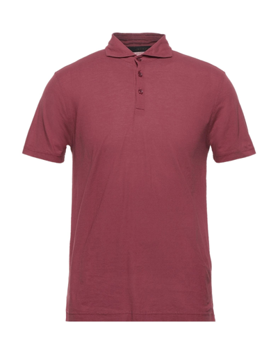 Shop Jeordie's Man Polo Shirt Brick Red Size M Cotton