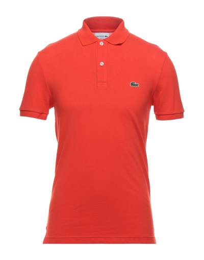 Shop Lacoste Polo Shirts In Coral