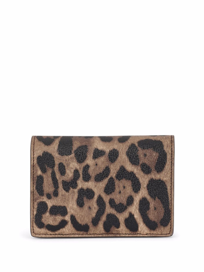 Dolce & Gabbana Leopard-print Bi-fold Wallet In Braun