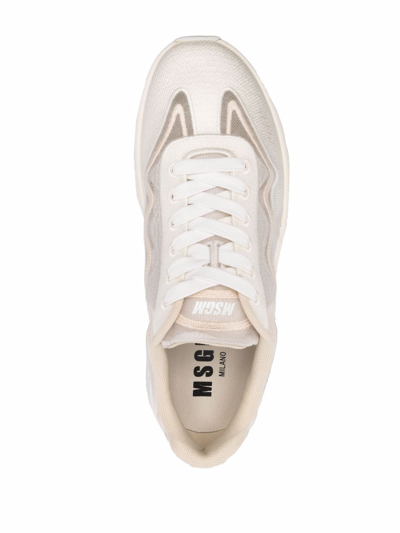 Shop Msgm Panelled-detail Sneakers In Neutrals