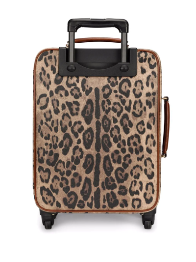 Shop Dolce & Gabbana Crespo Leopard-print Suitcase In Brown