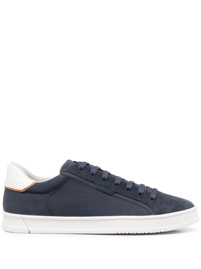 Shop Geox Pieve Lace-up Trainers In Blue
