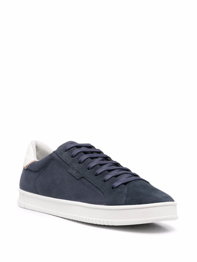 Shop Geox Pieve Lace-up Trainers In Blue