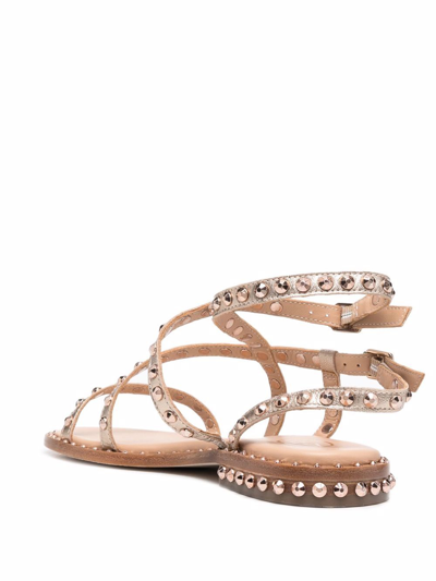 Shop Ash Petra Leather Sandals In Bronze