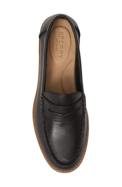 Shop Sperry Seaport Penny Loafer In Black Nubuck Leather