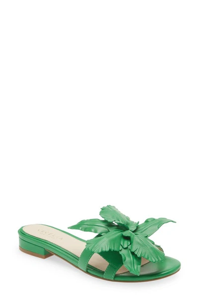 Shop Cecelia New York Lila Slide Sandal In Green Melon